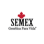 semex